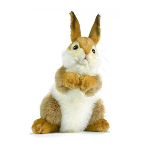 Baby Bunny Plush Toy 30cm