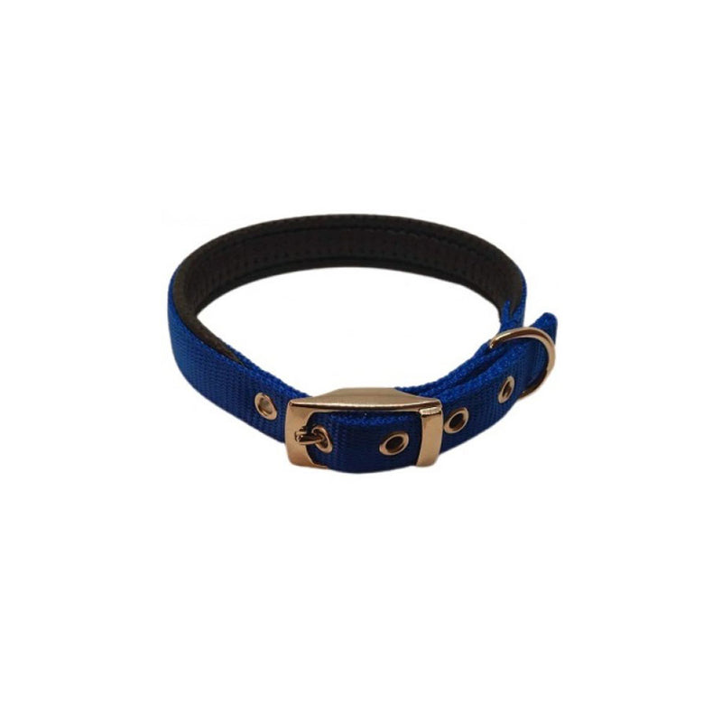 Nylon Padded Collar (Blue)