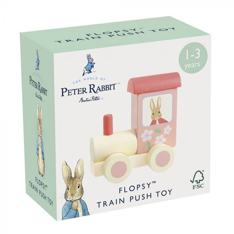 Flopsy Train Push Toy