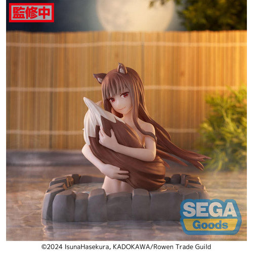 Spice & Wolf Merchant Meet the Wise Wolf Thermae Utopia Holo