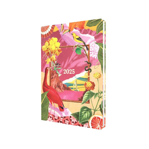 Collins Maximalism A5 WTV 2025 Diary