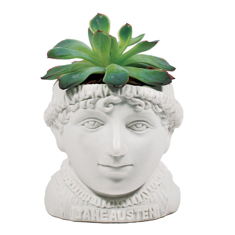 Jane Austen Planter