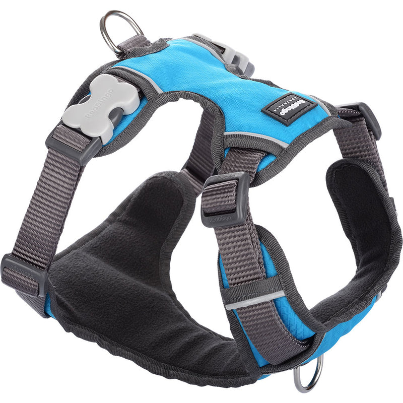 Padded Harness (Turquoise)